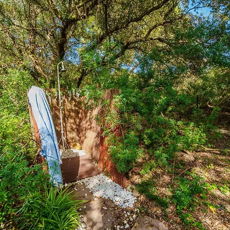 Feriehus Casa Simo By Mallorca Selection Alcudia (Mallorca)